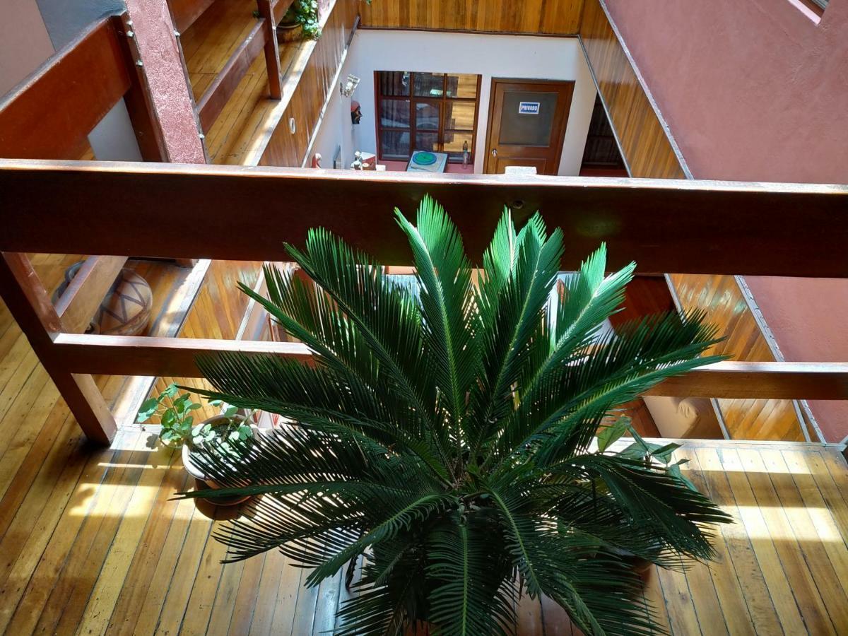 Aleida'S Hostal Puembo Buitenkant foto